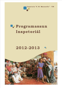 cover programm 2013